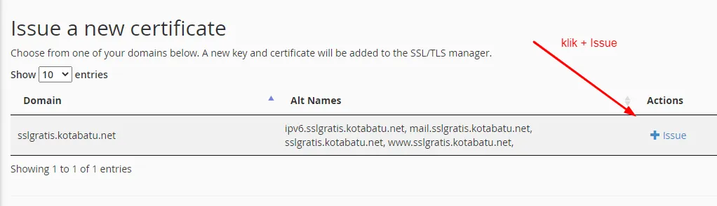 Klik-issue-untuk-menerbitkan-certificate-ssl-Lets-Encrypt