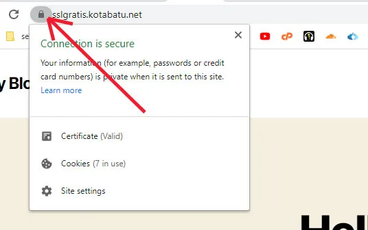 Tanda-SSL-sudah-terpasang-di-website-dengan-benar