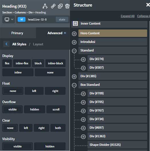 Example of a panel display on Oxygen Builder, according to HTML & CSS rules