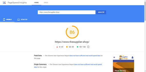 The Supplier Shop Google Page SPeed Insight Score