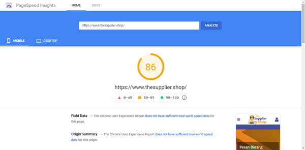 The Supplier Shop Google Page Speed Insight Score