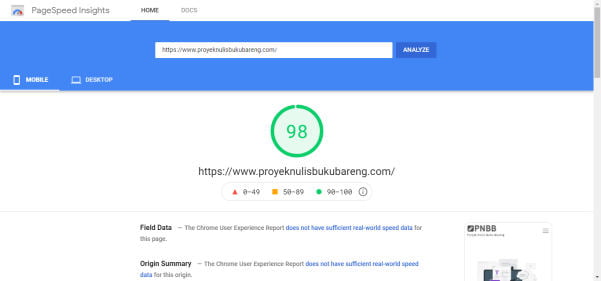 Proyek Nulis Buku Bareng Google Page SPeed Insight Score