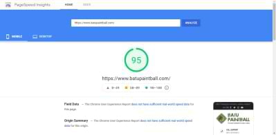 Batu Paintball Google Page SPeed Insight Score